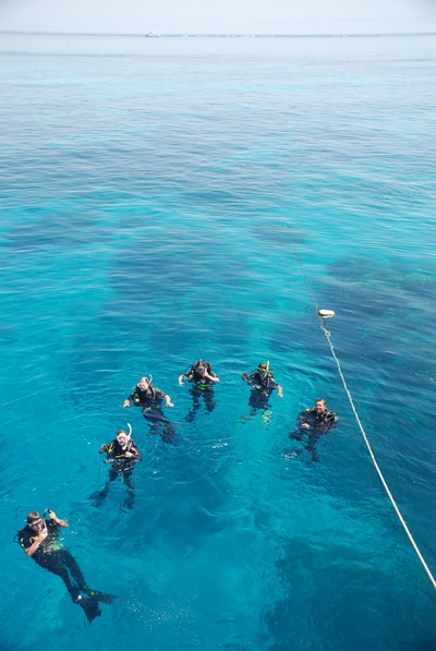 Potápění v Cairns