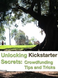 Obálka knihy Unlocking Kicstarter Secrets