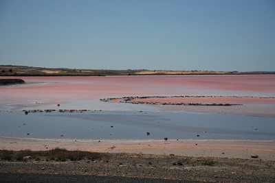 Růžové jezero
