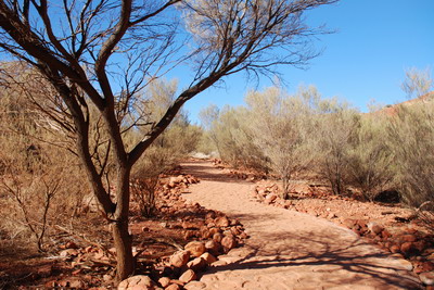 Uluru - Začátek procházky v údolí větrů