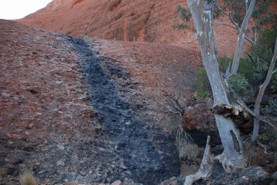 Uluru - Tak takhle byla místy značená cesta - plameny