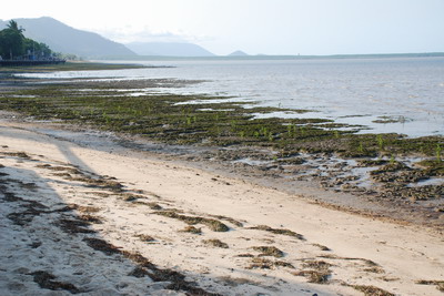 Blátivá pláž v Cairns