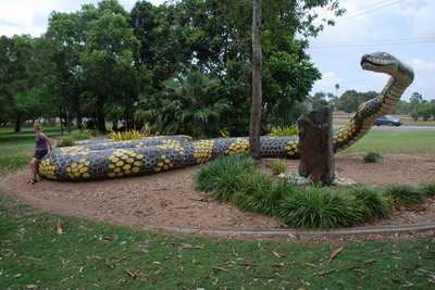 Velký had u Bowenu