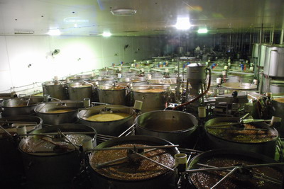 Ginger Factory - Pohled na vařící kotle