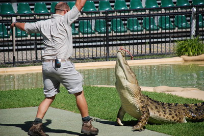 Australia ZOO - Krmení krokodýla