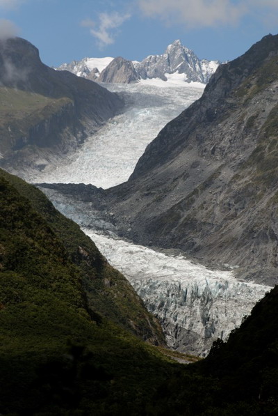 Fox glacier