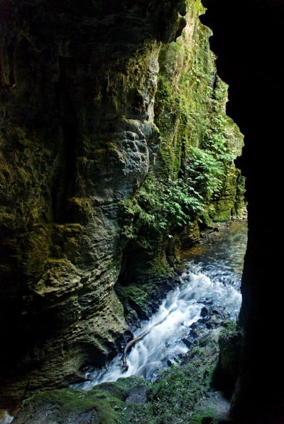 Ruakuri Natural Tunnel