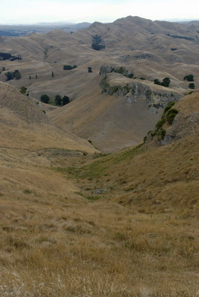 View from Te Mata Peak