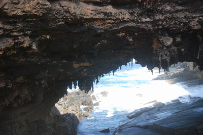 Kangaroo Island - Admirals Arch