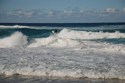 Surfař na Bronte Beach