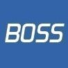 Logo systému BOSS